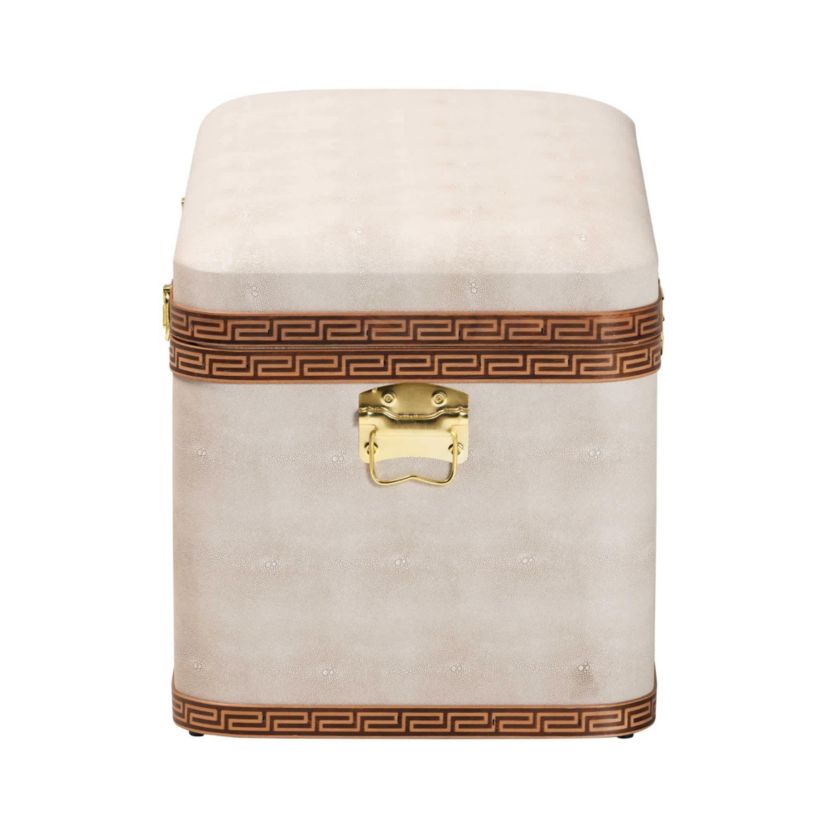 Brenner Transitional Beige Faux Shagreen Storage Trunk