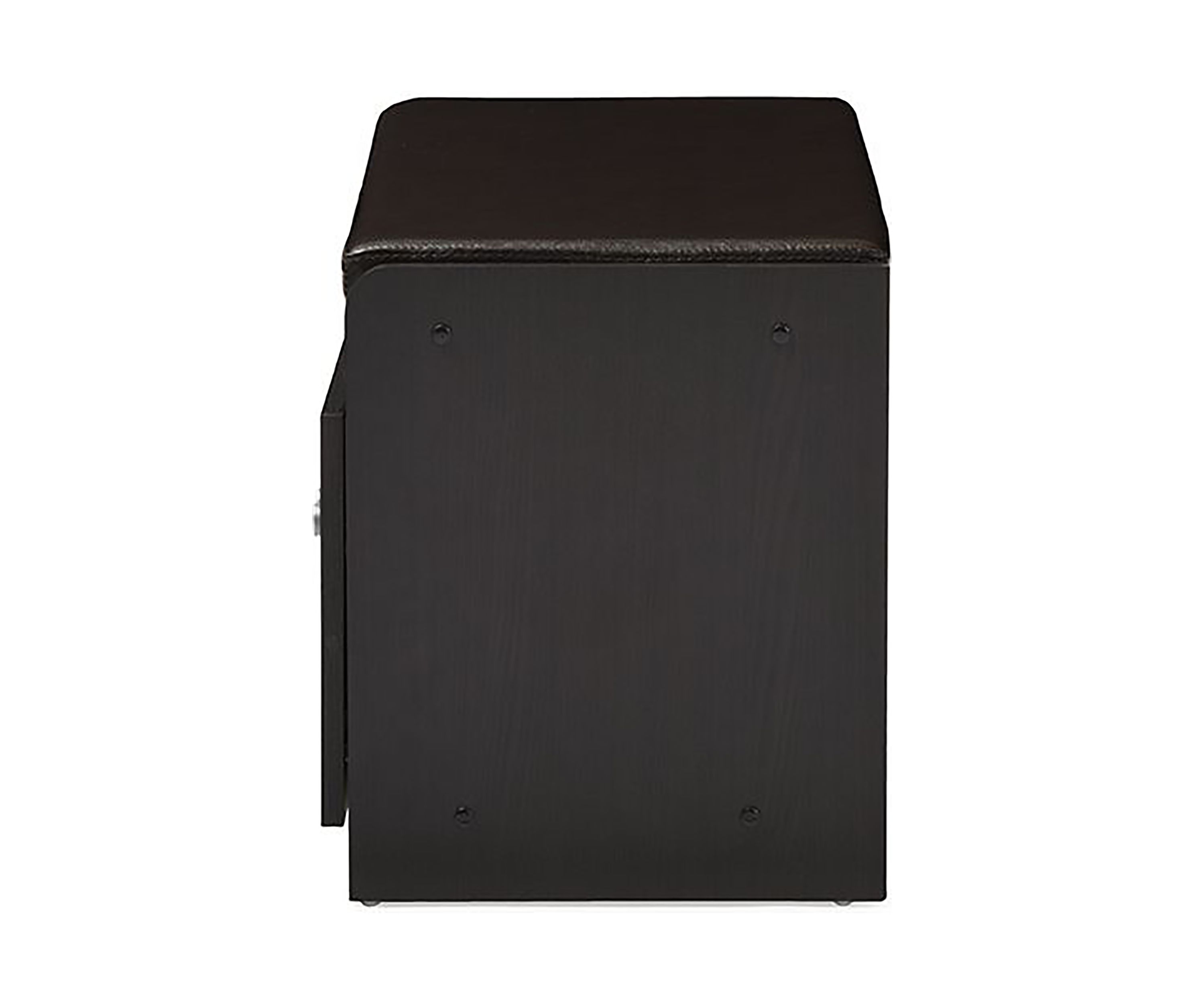 Margaret Modern and Contemporary Dark Brown Wood 2-Door Shoe Cabinet with Faux Leather Seating Bench
