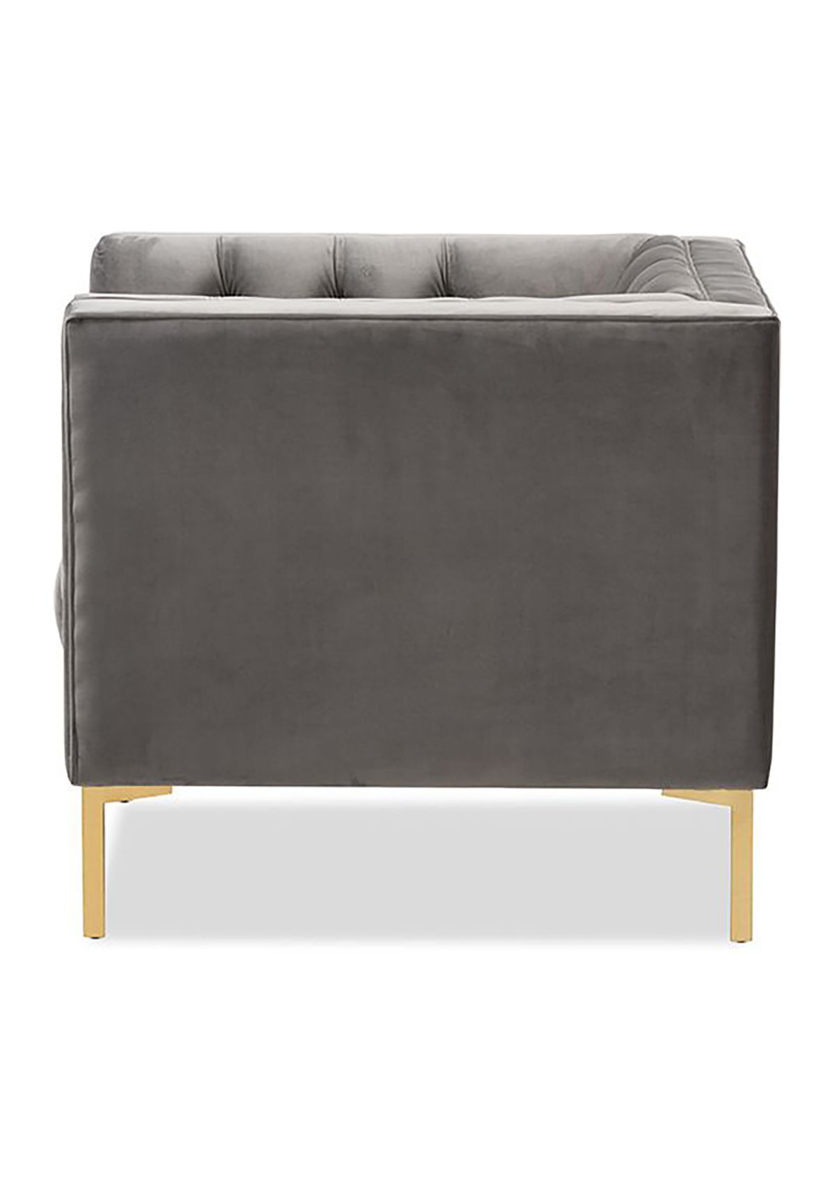 Zanetta Luxe and Glamour Grey Velvet Upholstered Gold Finished Lounge Chair