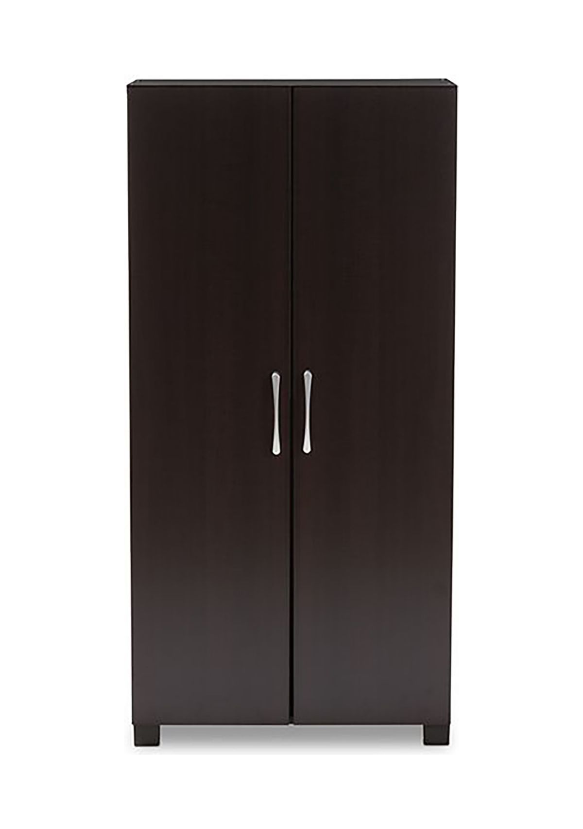 Marine Modern and Contemporary Wenge Dark Brown Finished 2-Door Wood Entryway Shoe Storage Cabinet