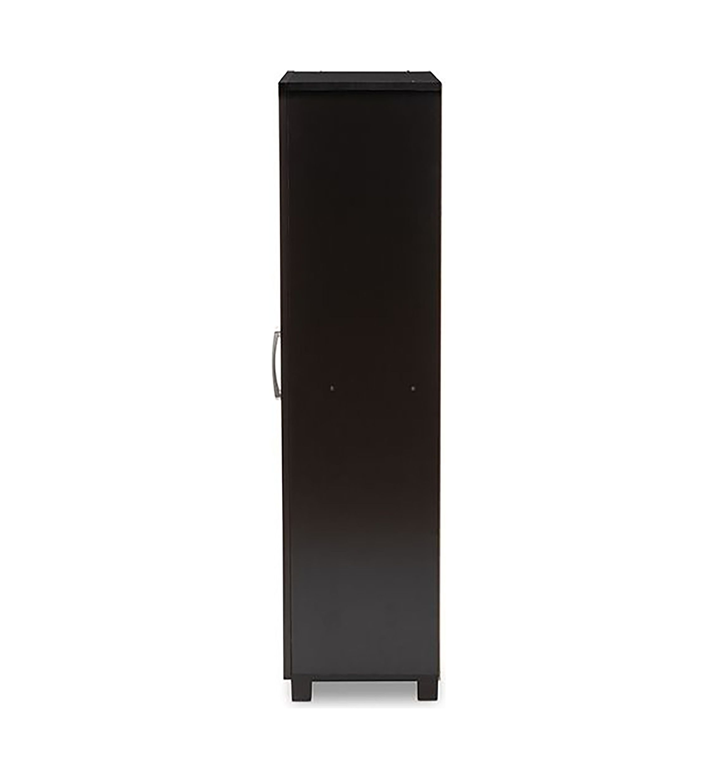 Marine Modern and Contemporary Wenge Dark Brown Finished 2-Door Wood Entryway Shoe Storage Cabinet