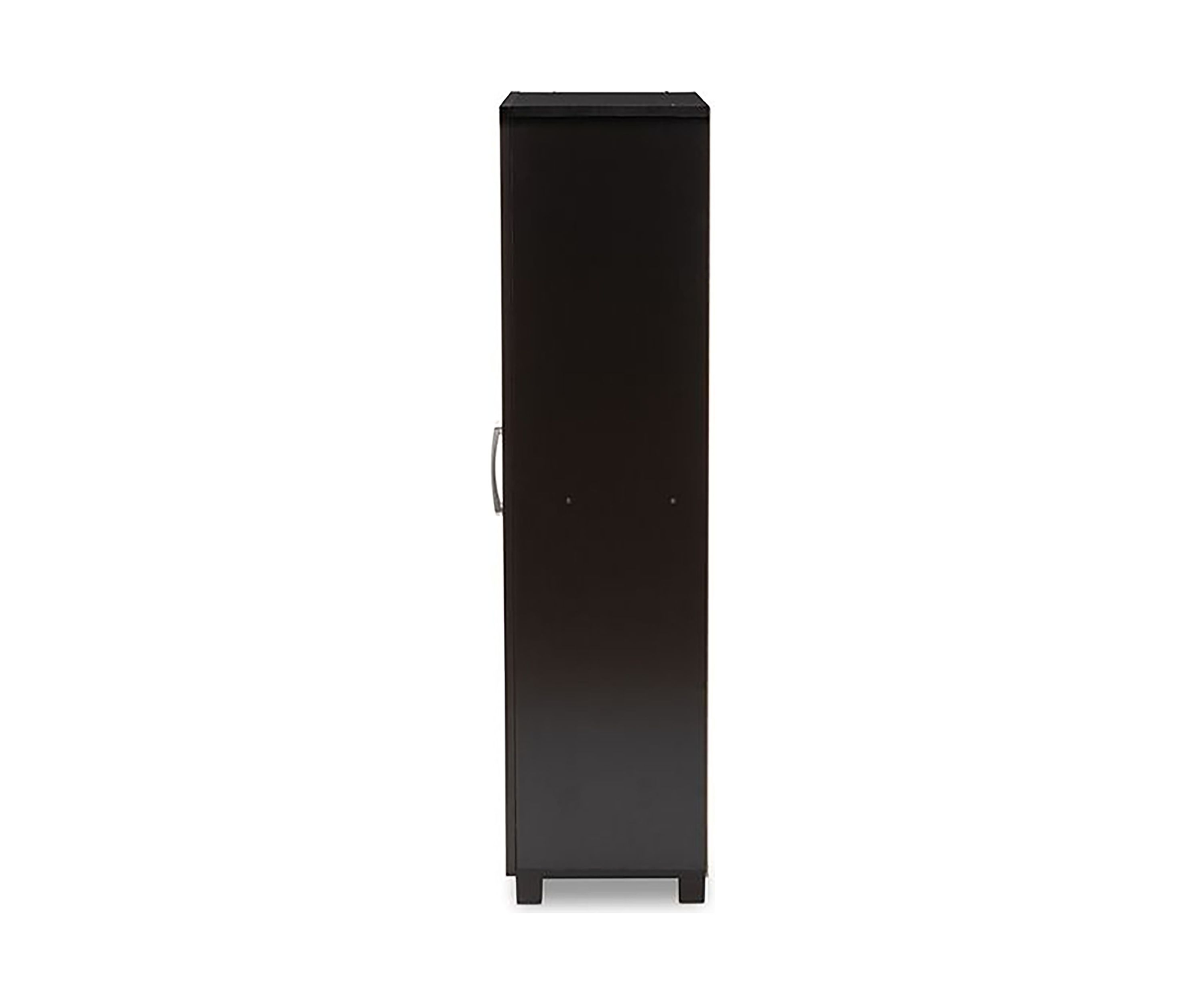 Marine Modern and Contemporary Wenge Dark Brown Finished 2-Door Wood Entryway Shoe Storage Cabinet
