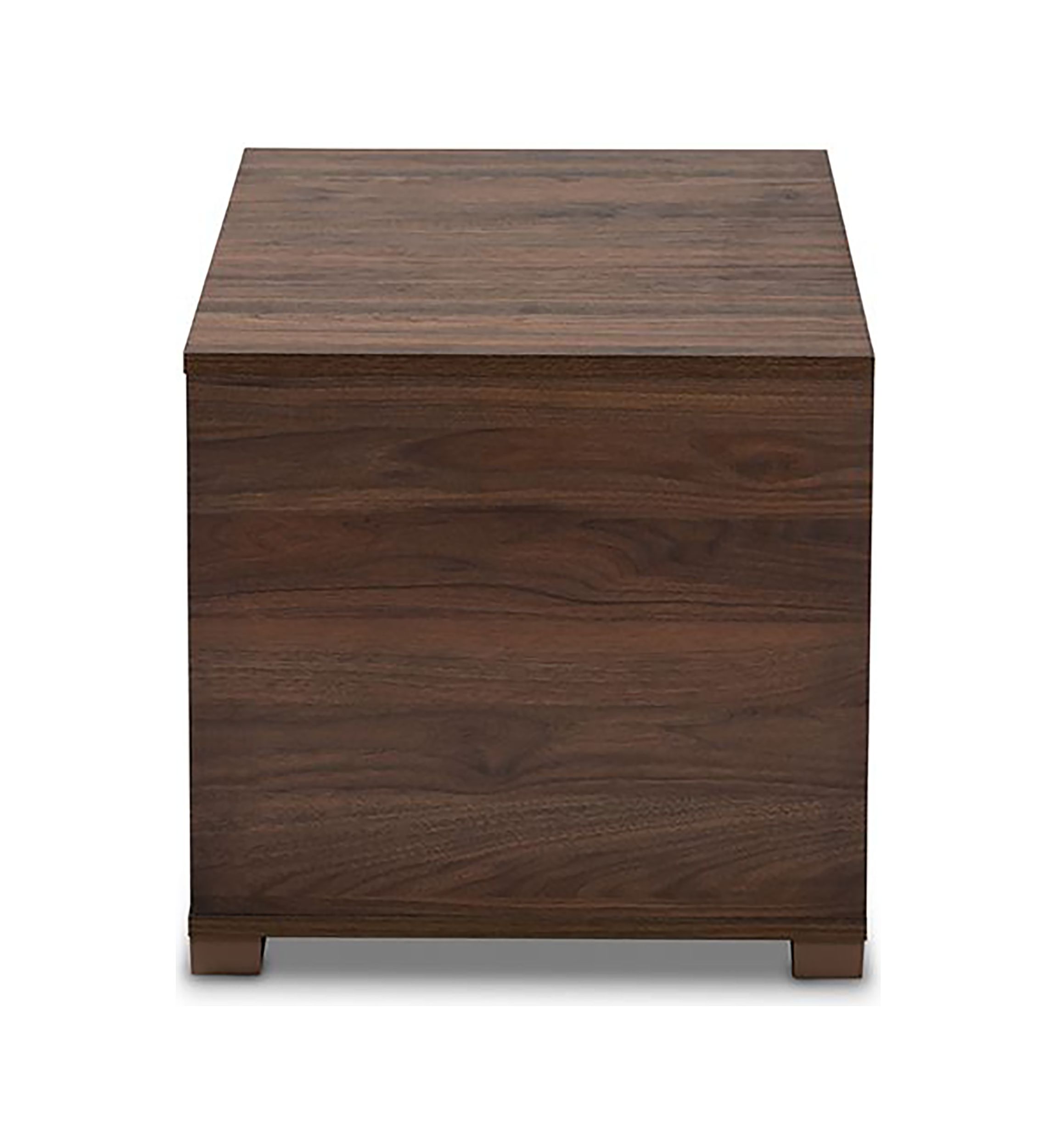 Jasper Modern and Contemporary Walnut Brown Finished 2-Door Wood Cat Litter Box Cover House
