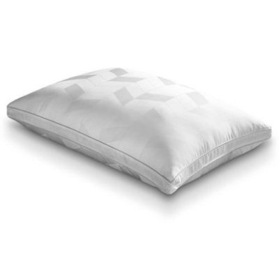 Revitalize Pillow