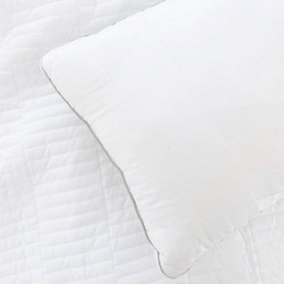 Revitalize Pillow