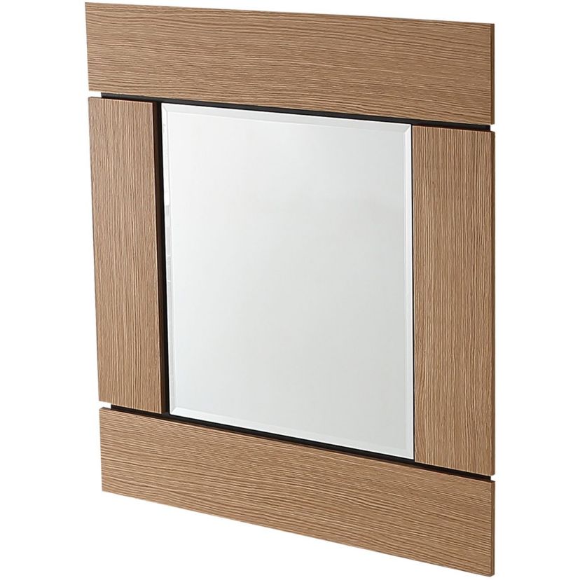 Barnes Wall Mirror