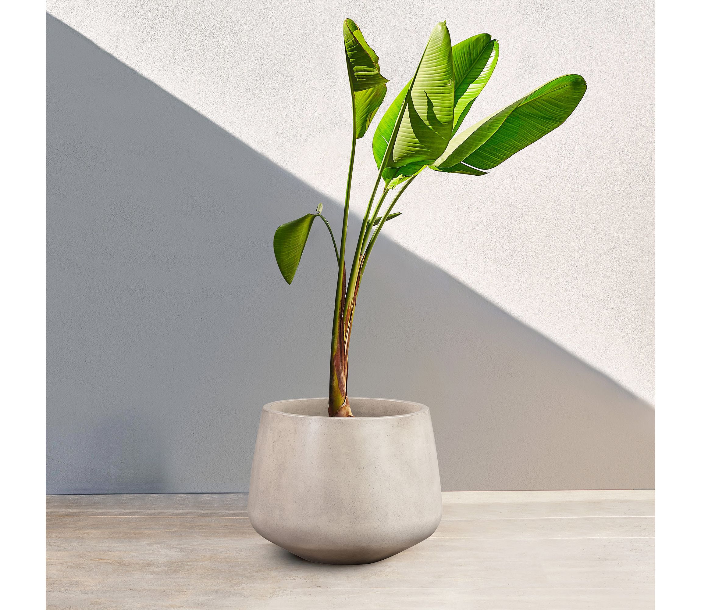 Amethyst Medium Round Lightweight White Concrete Indoor or Outdoor Planter in white