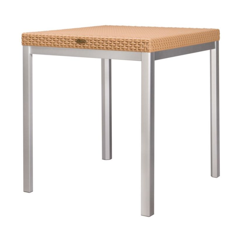 Russ Resin Dining Table with Aluminum Legs