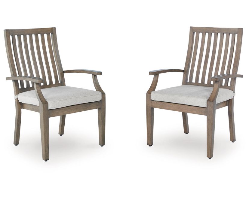 Rainier Ranch Outdoor Arm Chair with Cushion (Set of 2)