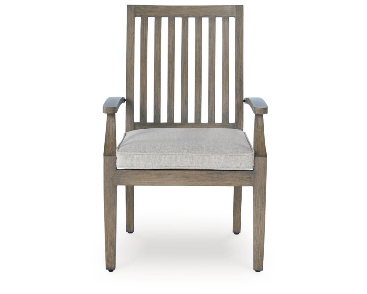 Rainier Ranch Outdoor Arm Chair with Cushion (Set of 2)