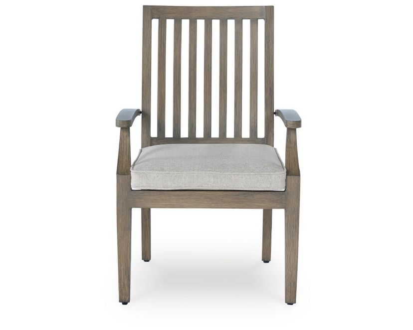 Rainier Ranch Outdoor Arm Chair with Cushion (Set of 2)