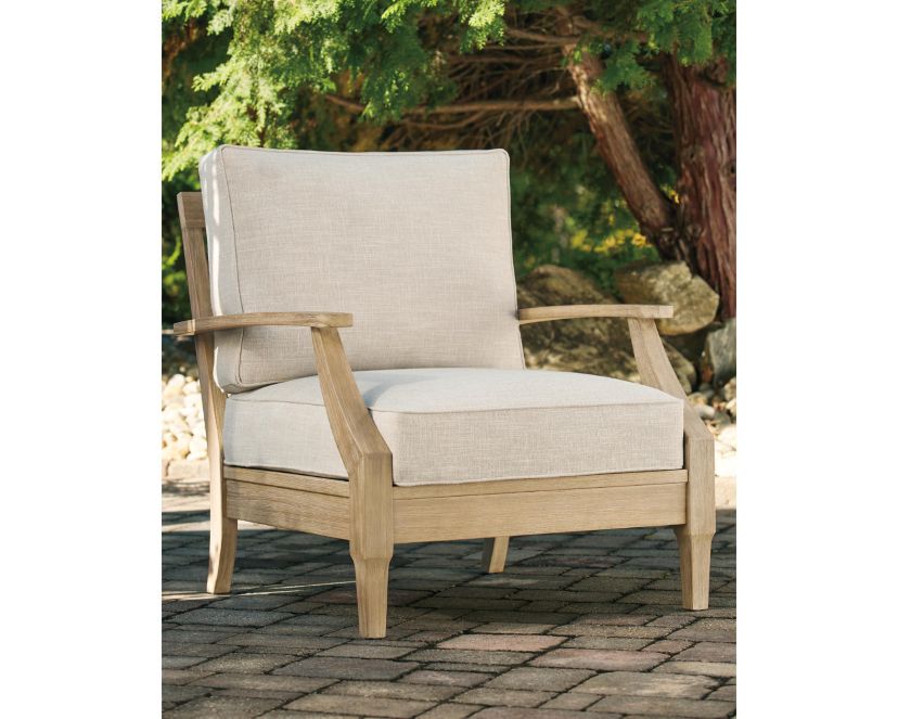 Clare View Lounge Chair w/Cushion (1/CN)