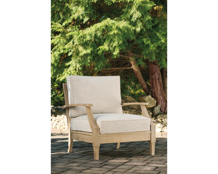 Clare View Lounge Chair w/Cushion (1/CN)