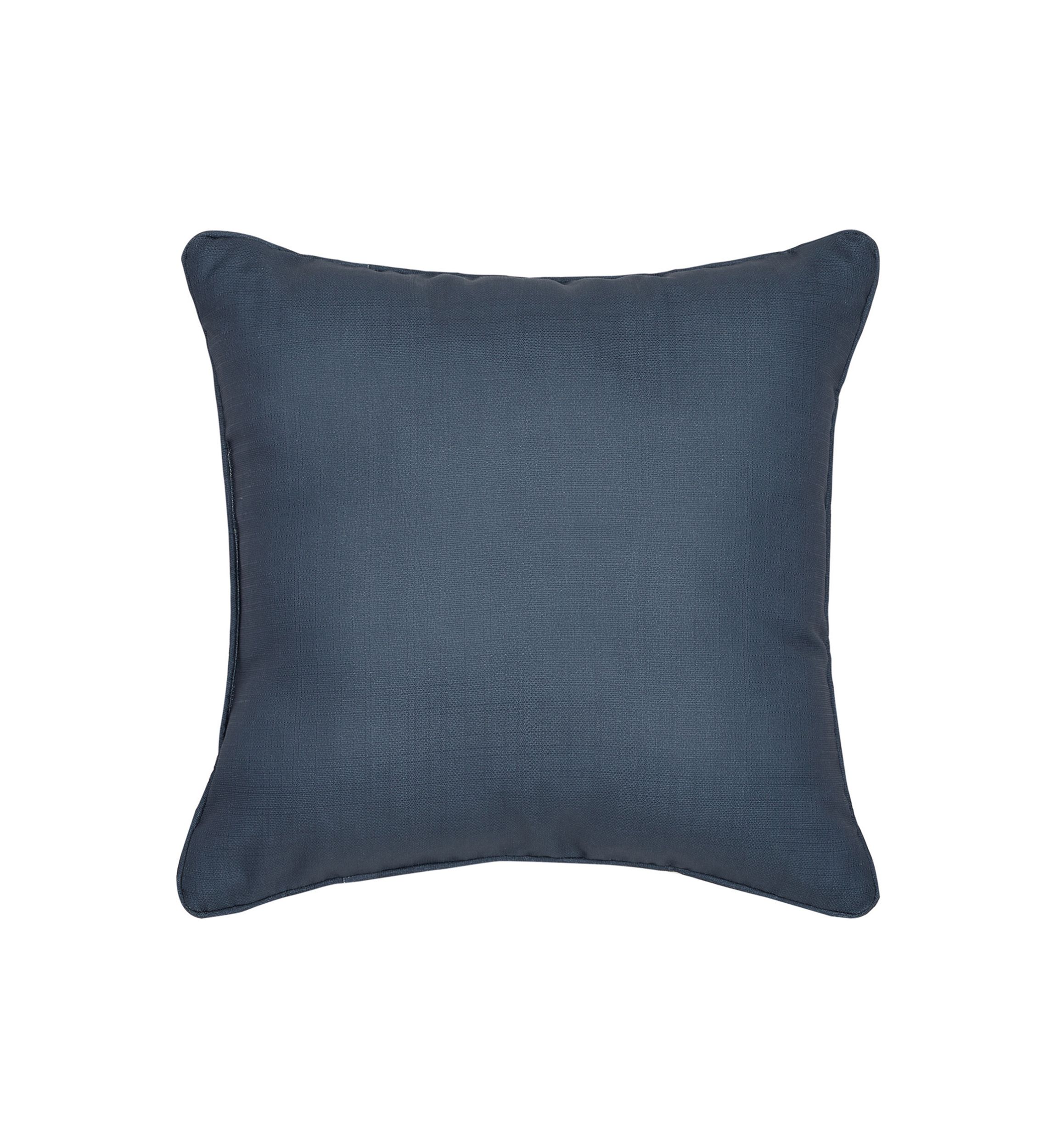 Raphael 18" Square Decorative Throw Pillow