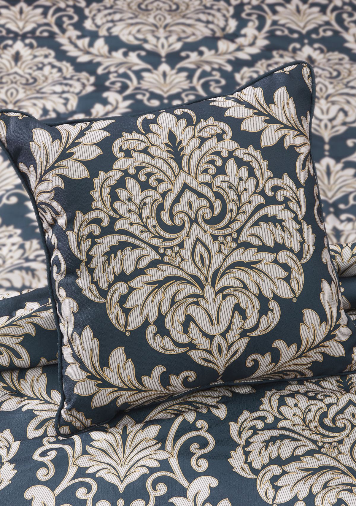 Raphael 20" Square Decorative Throw Pillow