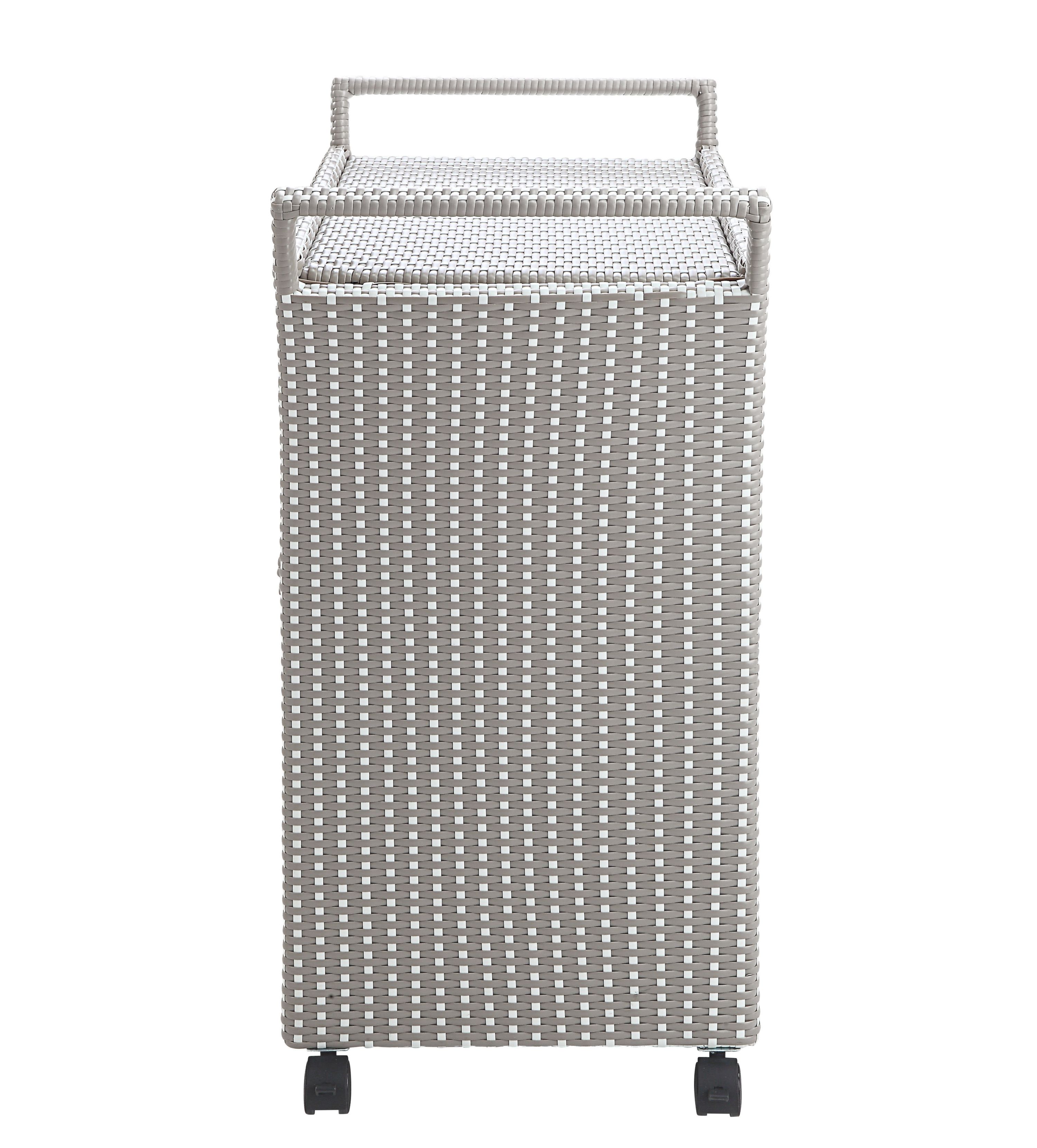 Ereni Outdoor Bar Cart and Trash Can Set