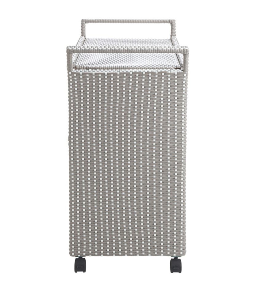 Ereni Outdoor Bar Cart and Trash Can Set