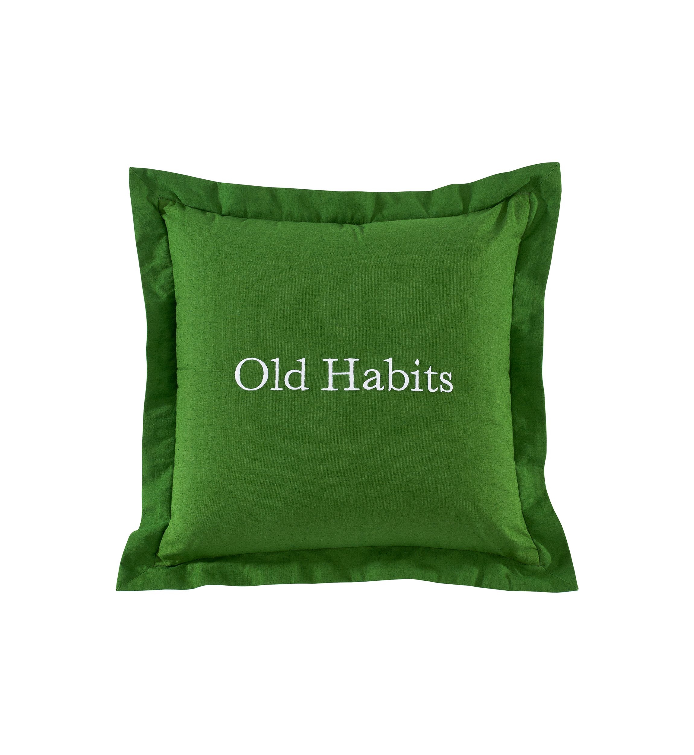 New Tricks Rev Pillow