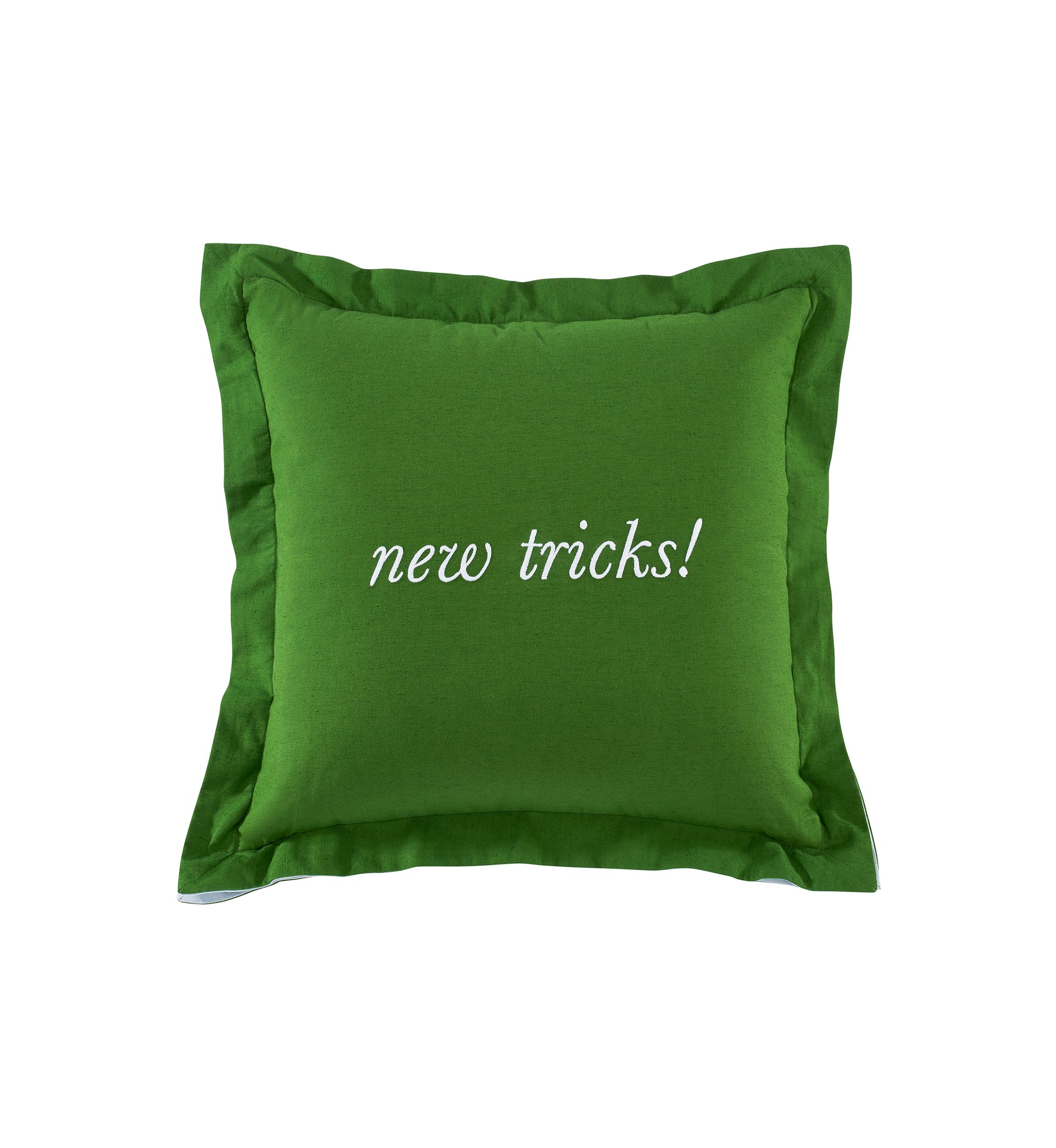 New Tricks Rev Pillow