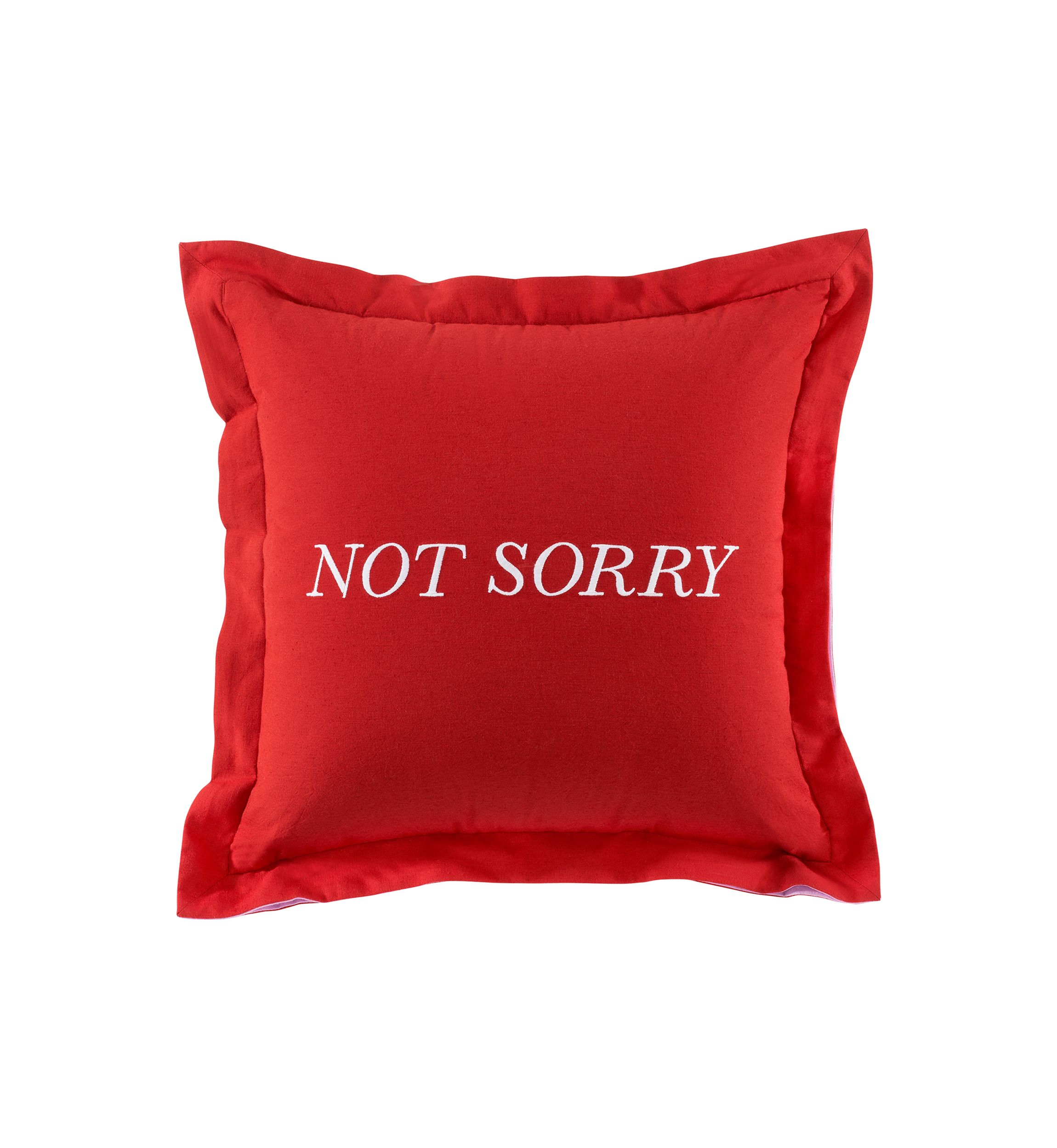 Sorry Rev Pillow