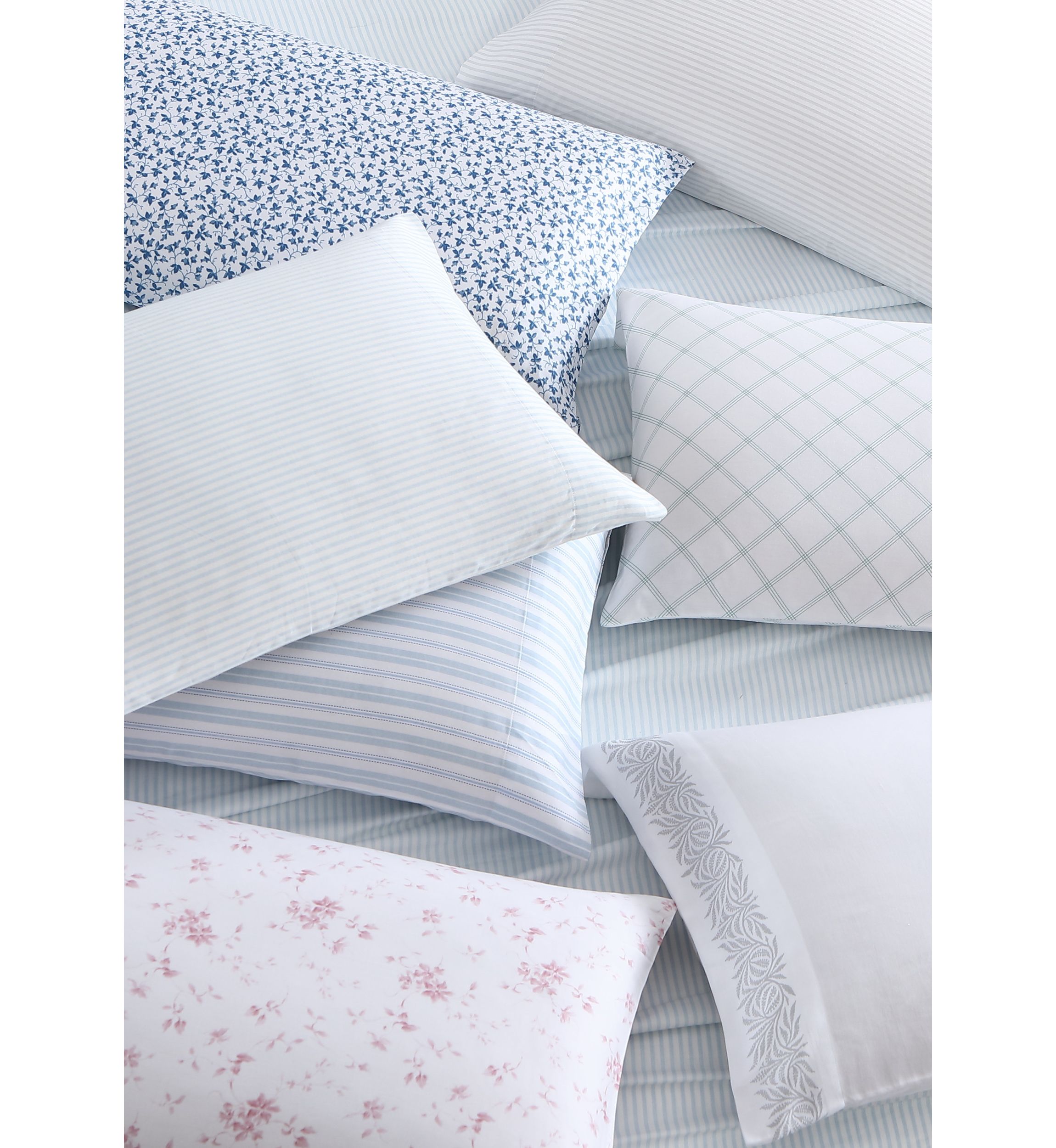 Garden Muse 4-Piece Floral T300 Cotton Sheet Set