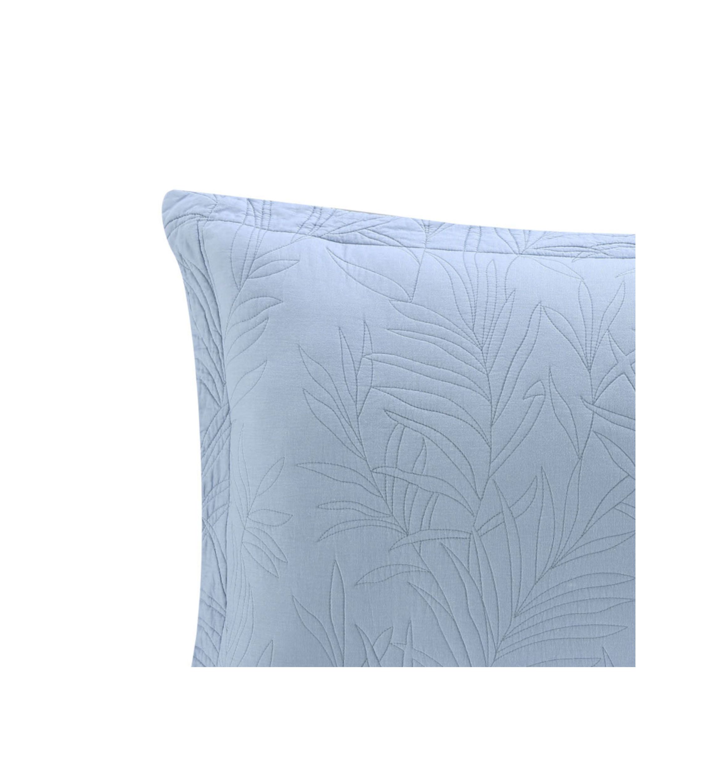 Solid Costa Sera 2-Piece Cotton Shams