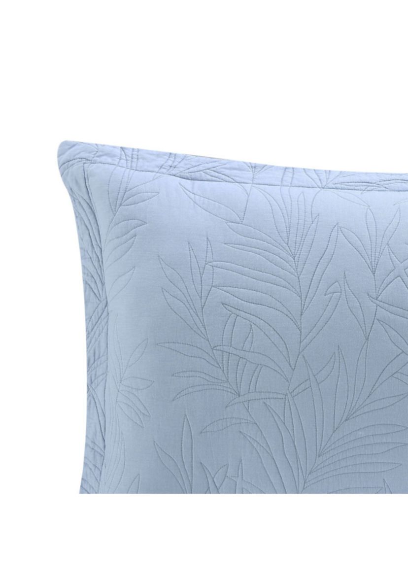 Solid Costa Sera 2-Piece Cotton Shams