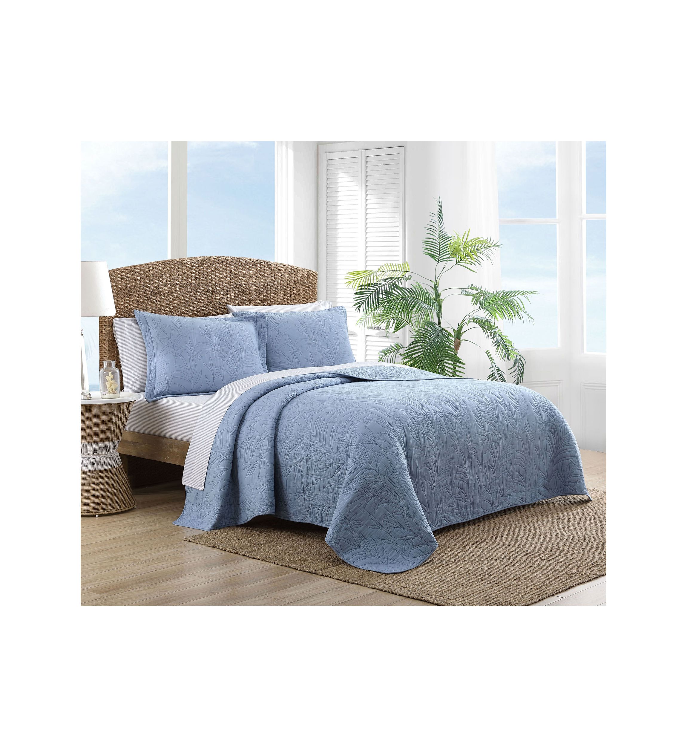 Solid Costa Sera 2-Piece Cotton Shams