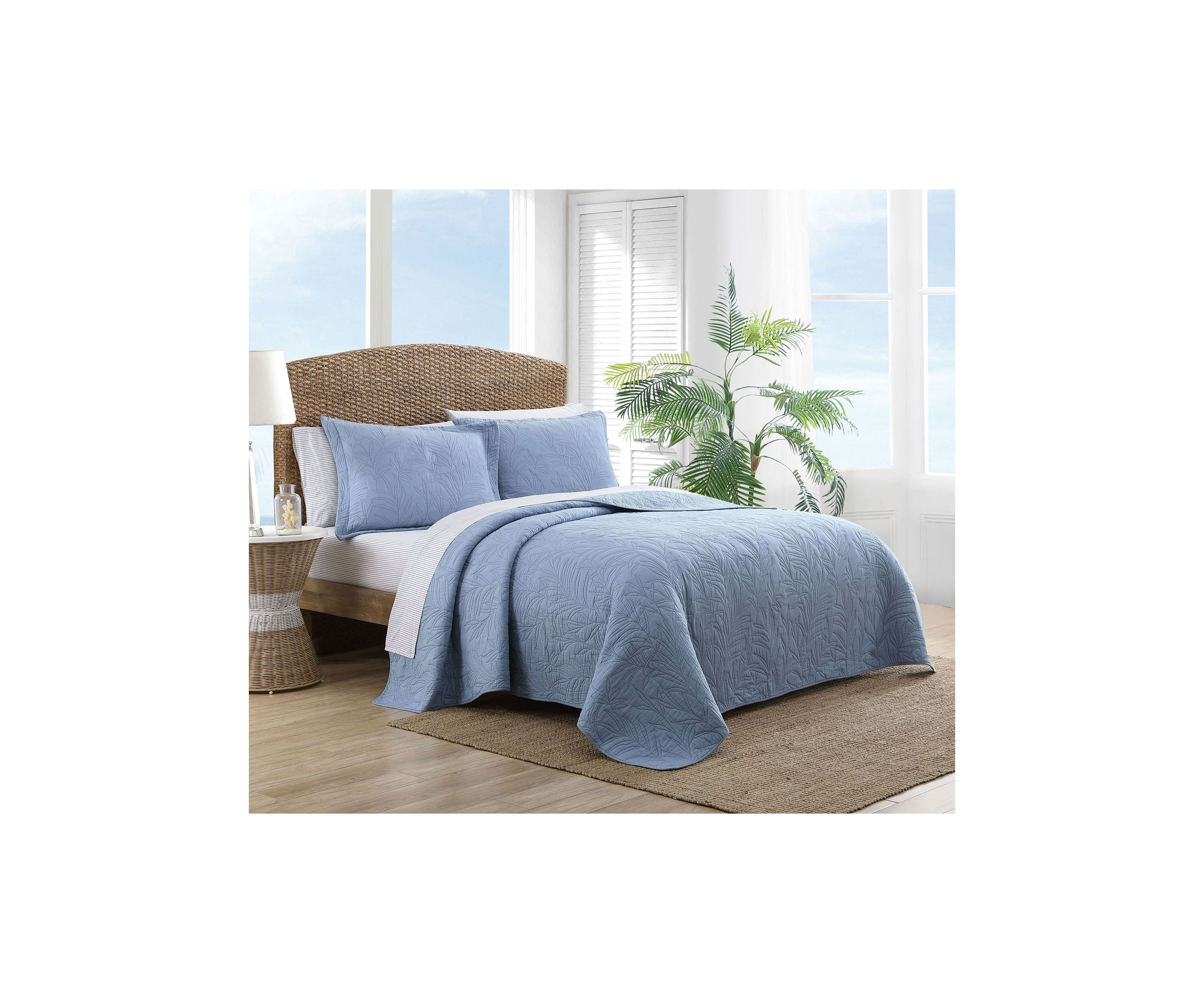 Solid Costa Sera 2-Piece Cotton Shams