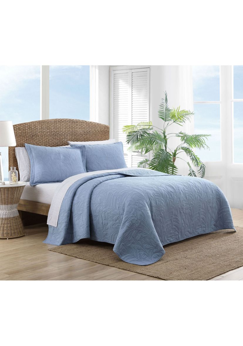 Solid Costa Sera 2-Piece Cotton Shams