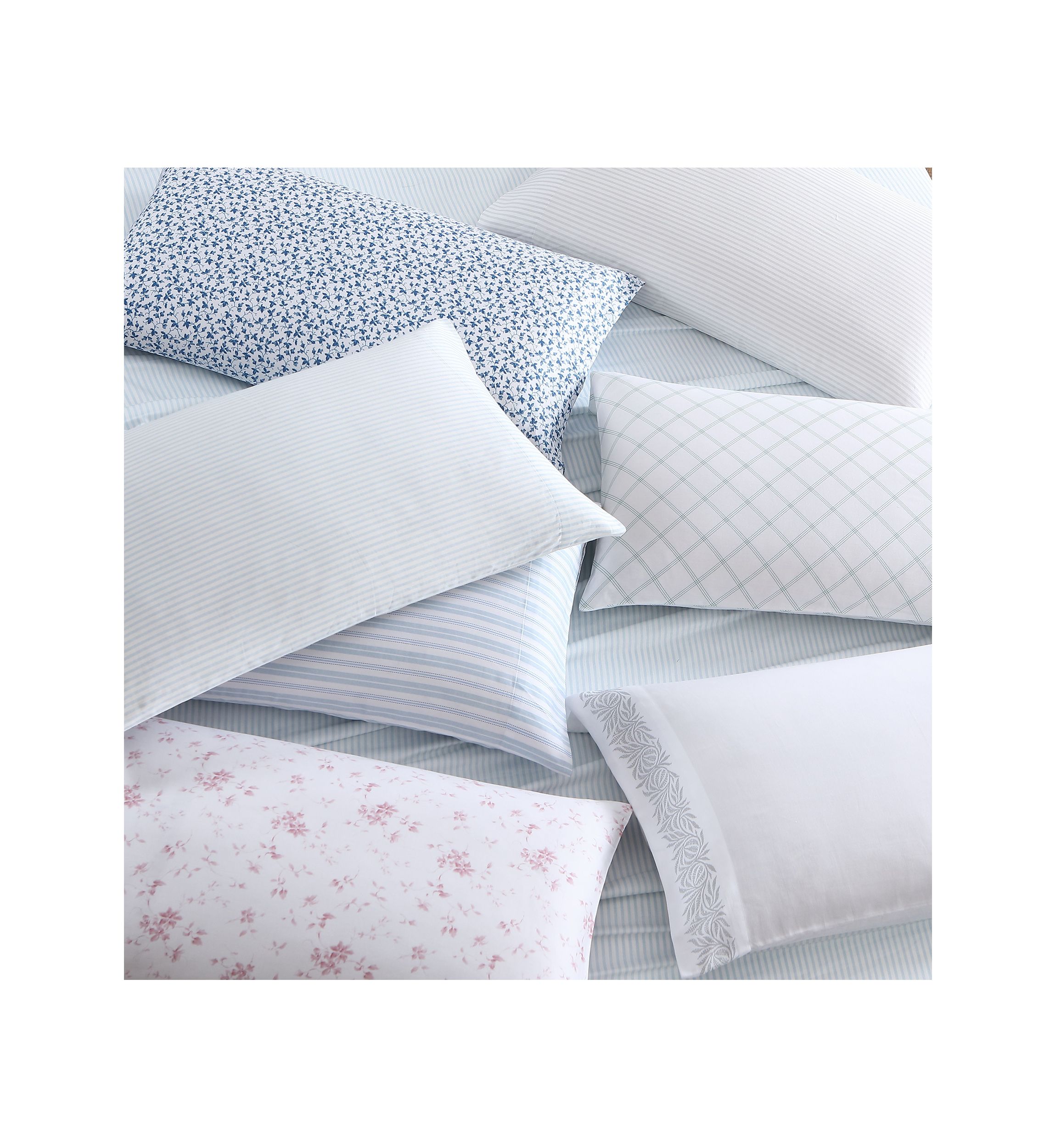 Fern 4-Piece Cotton Sheet Set