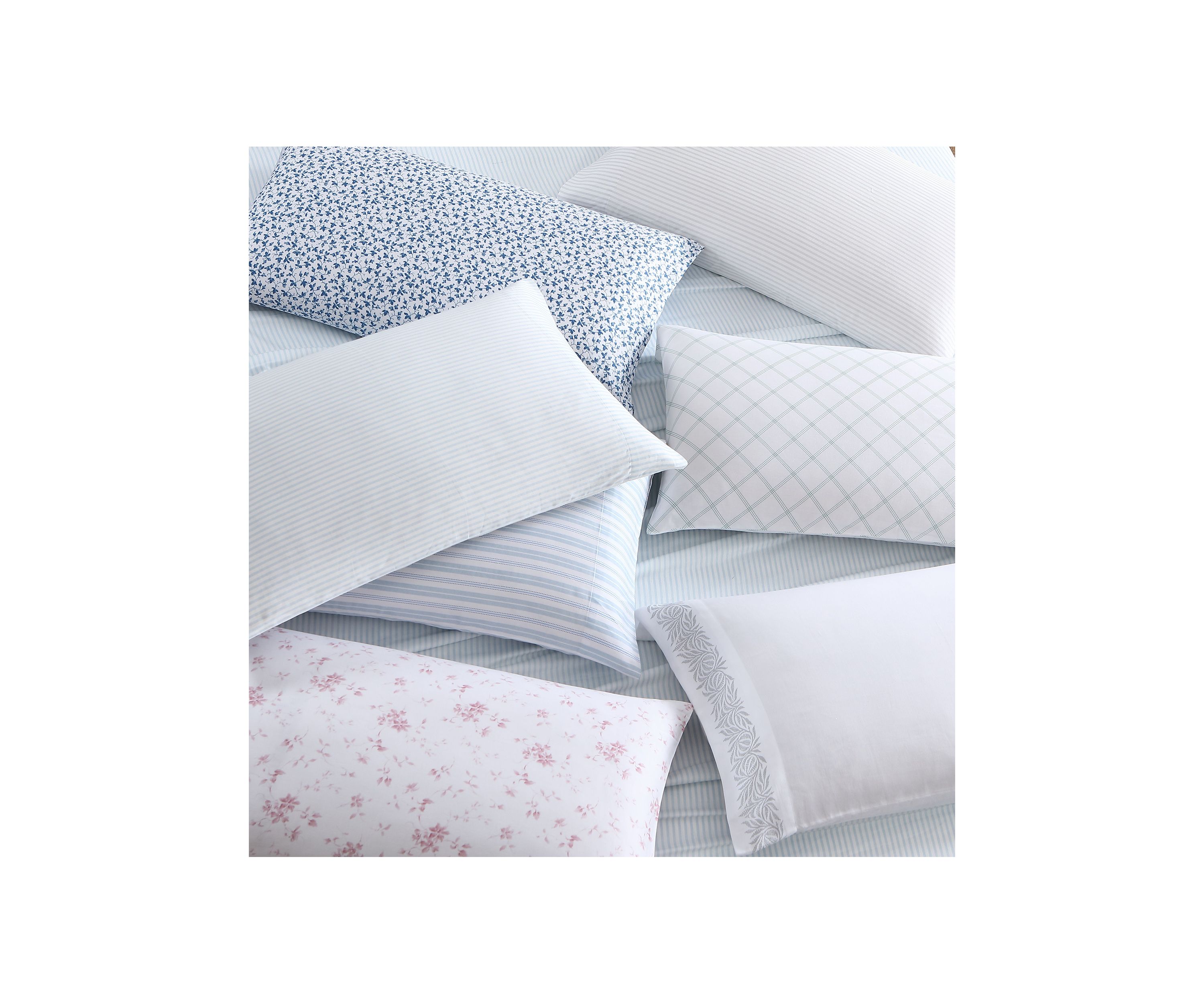 Fern 4-Piece Cotton Sheet Set