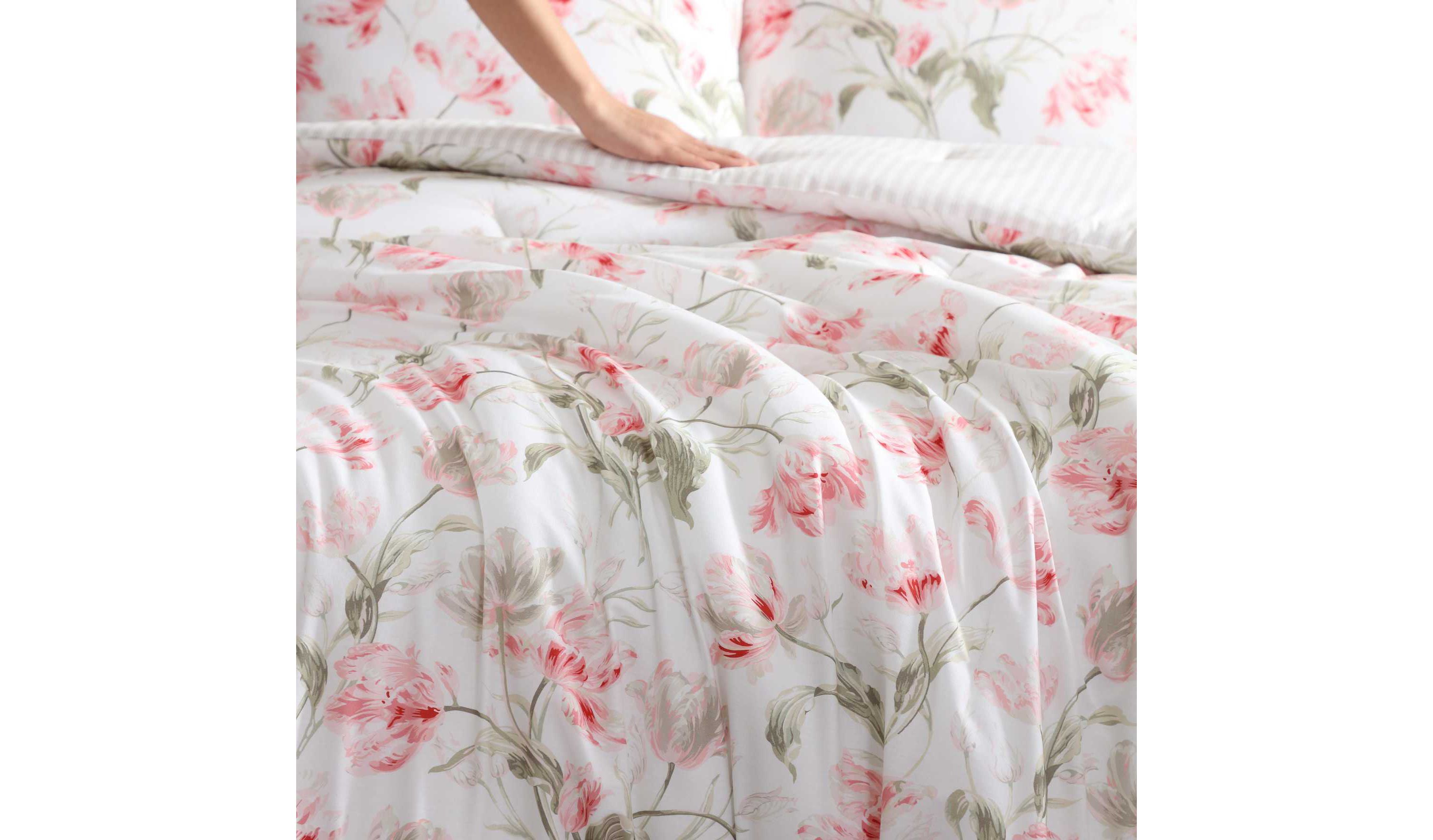 Gosford Cotton Comforter Sham Bonus Set