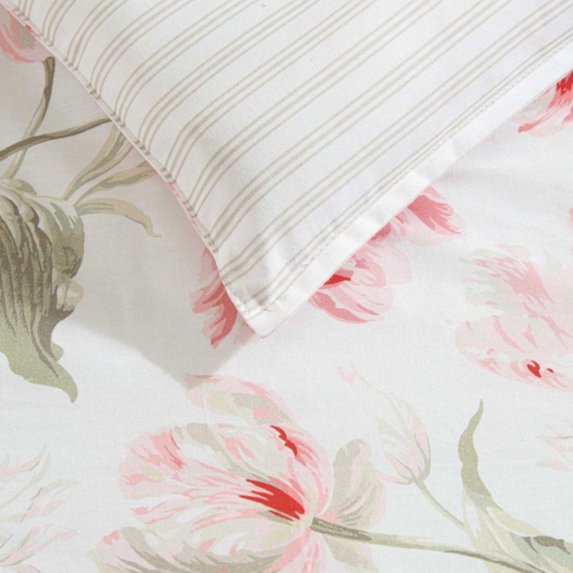 Gosford Cotton Comforter Sham Bonus Set