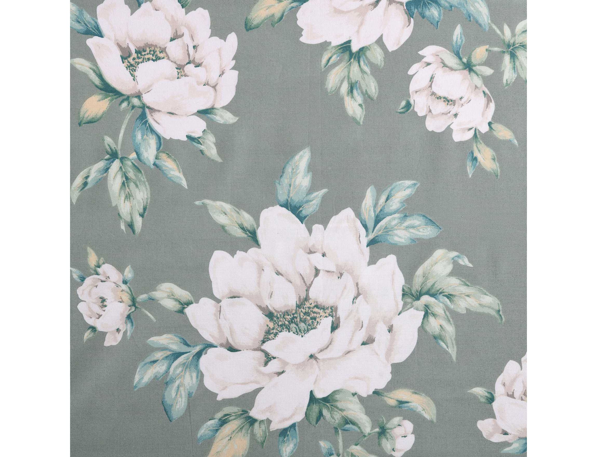 Wisley Floral Cotton Comforter Sham Bonus Set