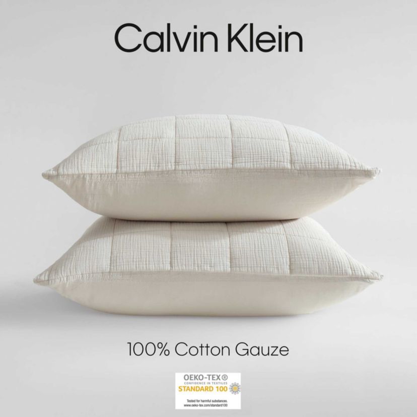 Cotton Gauze Solid Euro Sham Set